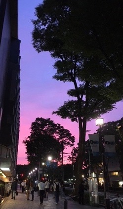 IMG_3128 21.03.28.jpgのサムネール画像